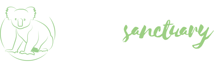 Koala Sanctuary Port Stephens